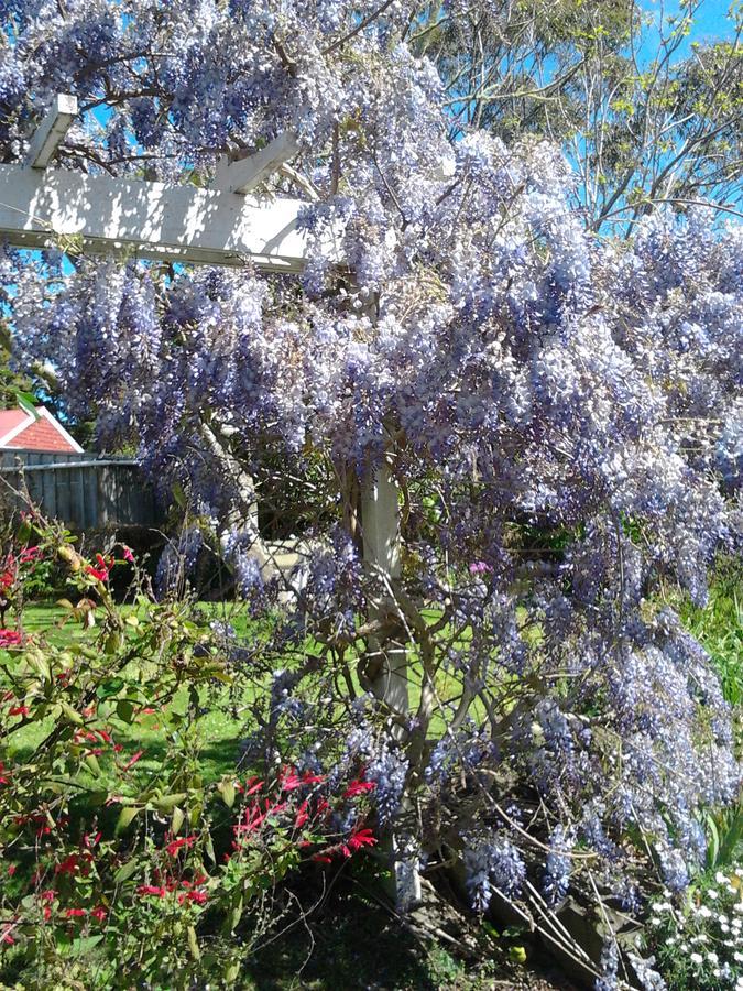 Paparoa The Old Post Office Guesthouse B&B מראה חיצוני תמונה